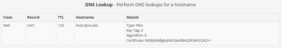 CERT Record Dynu Dynamic DNS