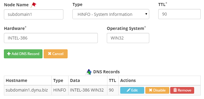 HINFO Record Dynu Dynamic DNS