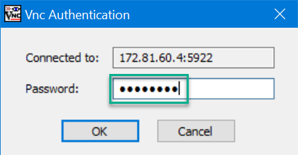 Connect with VNC client