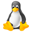 Download DDClient Perl based Client